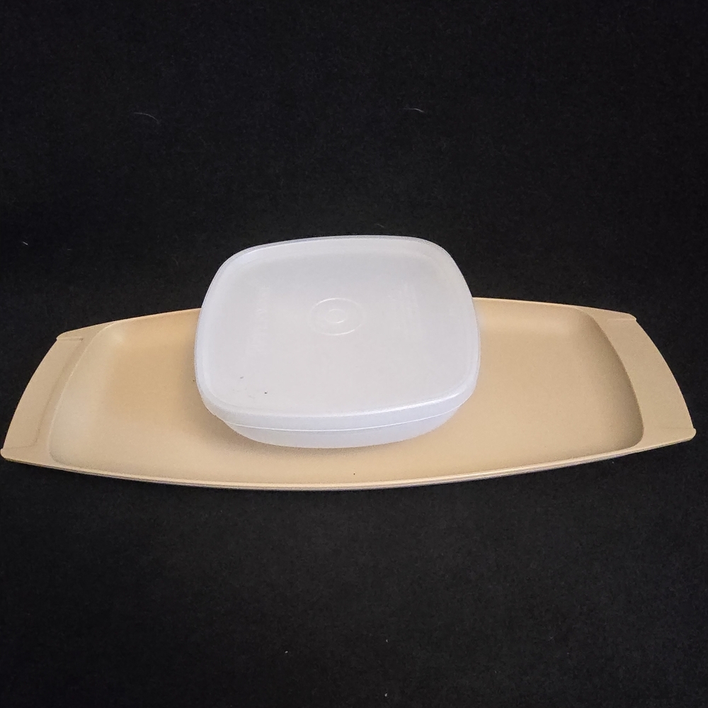 Tupperware Serve-Ette Tray And Bowl With Lid